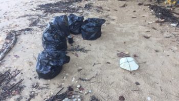 ozeankind sammelt Plastikmüll auf Koh Phayam