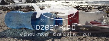 weltweites ozeankind cleanup