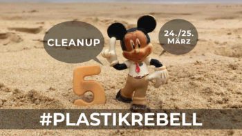 CleanUp weltweit Plastikrebell
