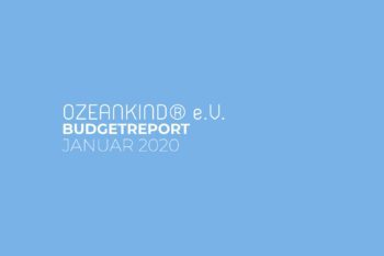 Budgetreport-jan-2020